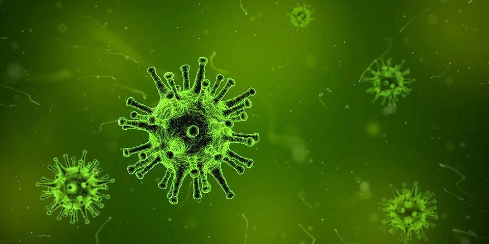 Nuevo virus podría ayudar a destruir el cáncer